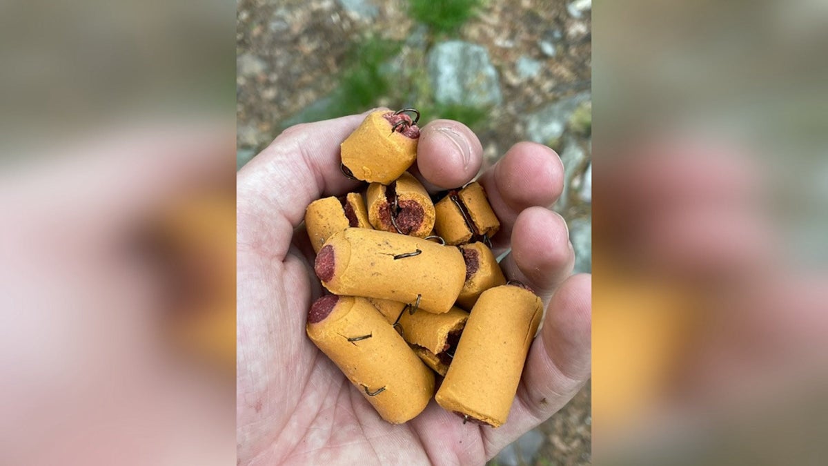 Someone’s Setting Booby-Traps for Dogs on the Appalachian Trail