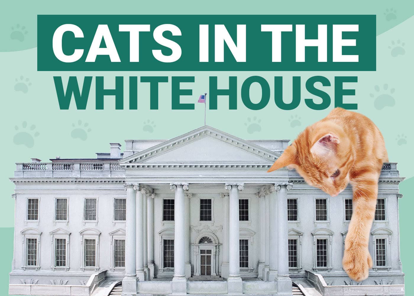 PetKeen_Cats-in-the-White-House-Featured-Image_v1_Apr-19-2024.jpg